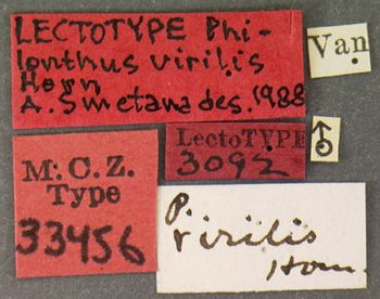 Media type: image;   Entomology 33456 Aspect: labels